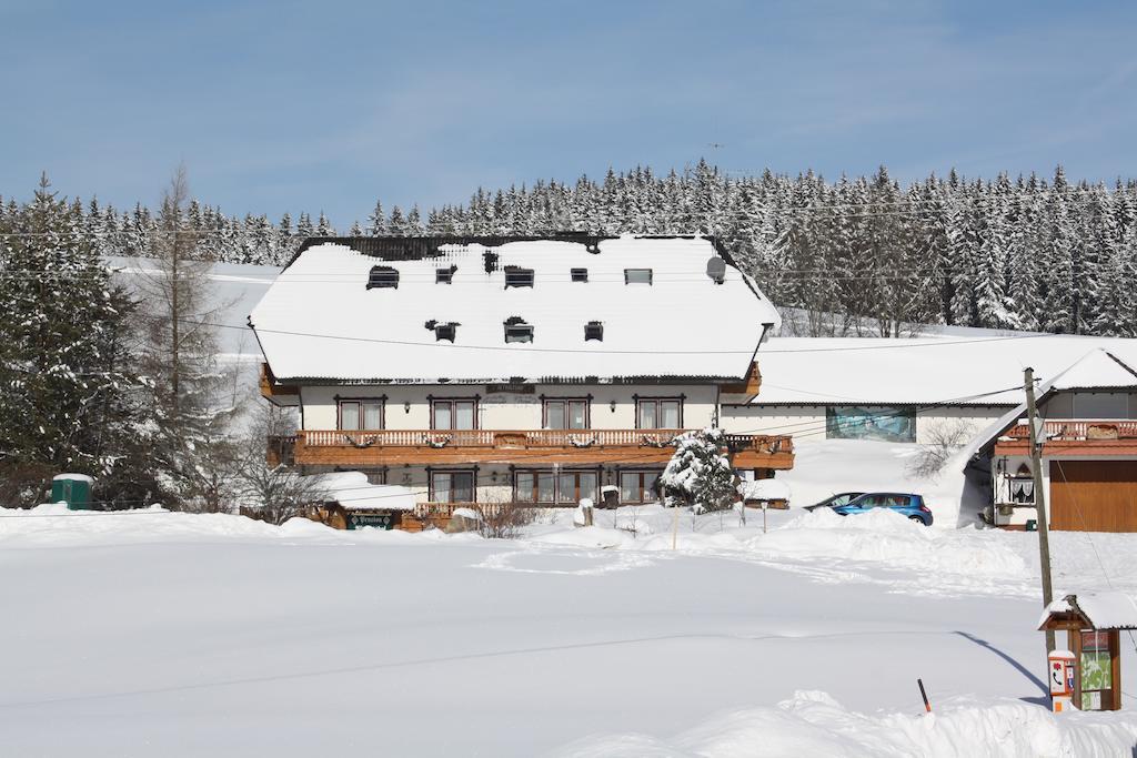 Pension Altvogtshof Айзенбах Экстерьер фото
