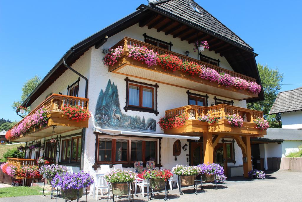 Pension Altvogtshof Айзенбах Экстерьер фото